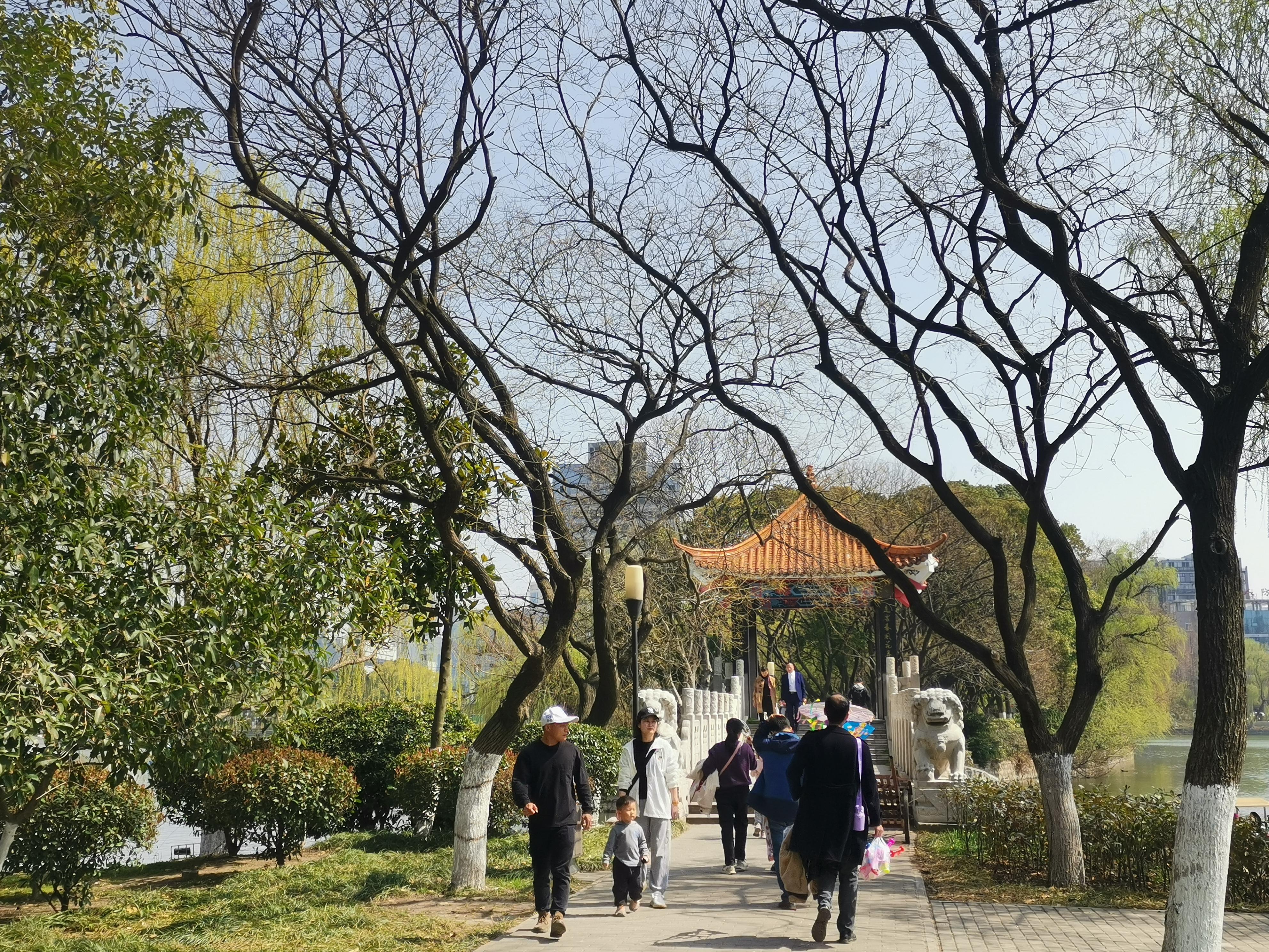 澳門75期最快天天開獎，揭秘彩票背后的秘密與策略，澳門75期天天開獎揭秘，彩票背后的秘密與策略探究