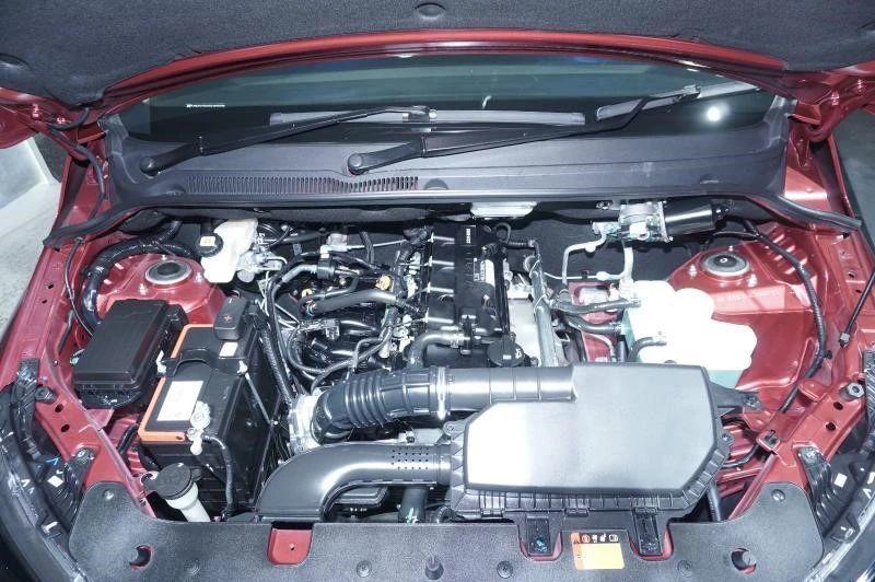 王中王四肖選一肖期期誰(shuí)，揭秘彩票背后的秘密，揭秘彩票背后的秘密，王中王四肖選一肖期期的真相