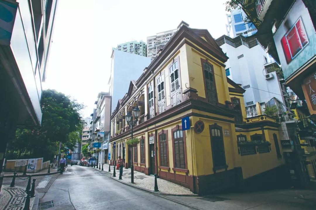 澳門(mén)今晚必開(kāi)一肖與狗年運(yùn)勢(shì)揭秘，澳門(mén)今晚必開(kāi)生肖與狗年運(yùn)勢(shì)大揭秘