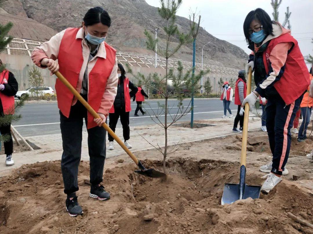 天下彩天天空彩資料免費(fèi)大全管家，探索與解析，天下彩天天空彩資料大全管家，深度探索與解析