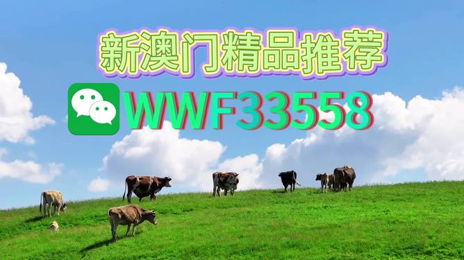 揭秘今晚9點(diǎn)30生肖運(yùn)勢，你的生肖運(yùn)勢如何？，揭秘今晚9點(diǎn)30生肖運(yùn)勢，你的生肖運(yùn)勢走向如何？