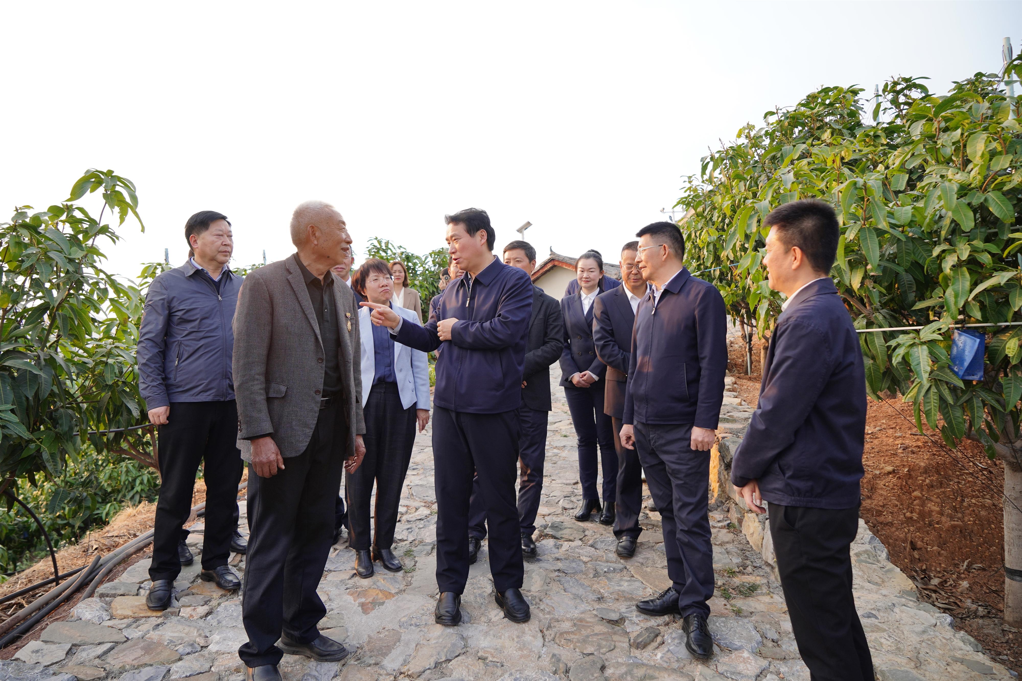 安寧股份，引領(lǐng)行業(yè)發(fā)展的前沿力量，安寧股份，引領(lǐng)行業(yè)發(fā)展的先鋒力量