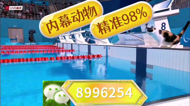 澳門彩票王中王開獎(jiǎng)結(jié)果，探索未來的預(yù)測(cè)與策略（2025年展望），澳門彩票王中王開獎(jiǎng)結(jié)果展望，未來預(yù)測(cè)與策略（2025年展望）