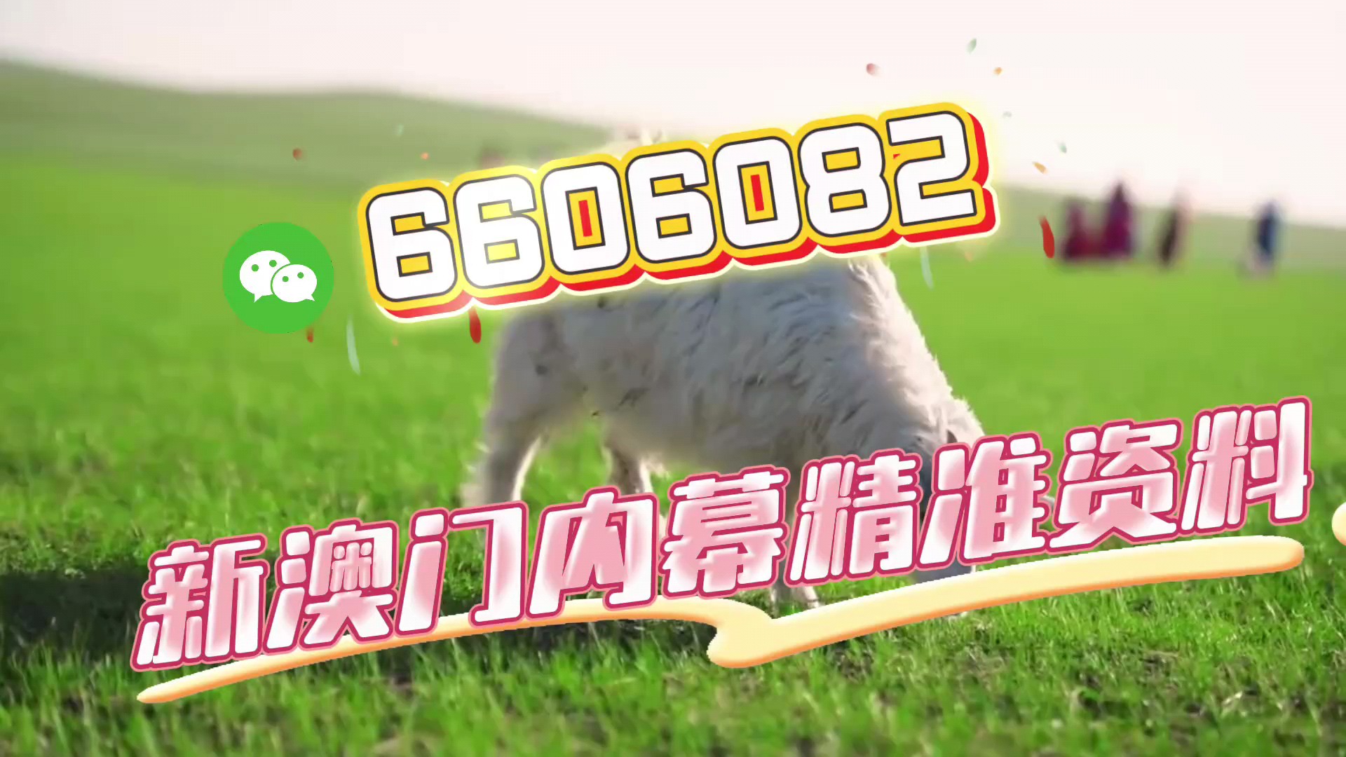 新澳門期期準(zhǔn)免費(fèi)期期準(zhǔn)，探索真實(shí)性與背后的秘密，澳門彩票背后的真實(shí)性與秘密探索