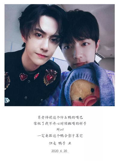 王中王一肖中特其其準(zhǔn)——探尋精準(zhǔn)預(yù)測(cè)的魅力，精準(zhǔn)預(yù)測(cè)的魅力，王中王一肖中特其其準(zhǔn)的探尋