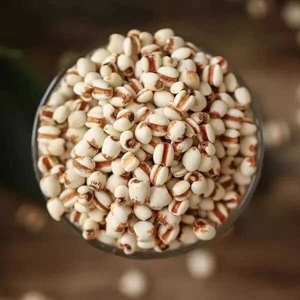 薏米，一種健康寶藏的神奇谷物，薏米，健康寶藏的神奇谷物