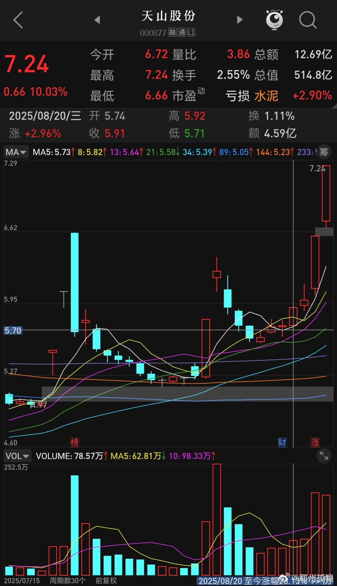 天山股份重組最新消息，企業(yè)轉(zhuǎn)型與未來發(fā)展的展望，天山股份重組最新動(dòng)態(tài)，企業(yè)轉(zhuǎn)型展望與未來發(fā)展路徑