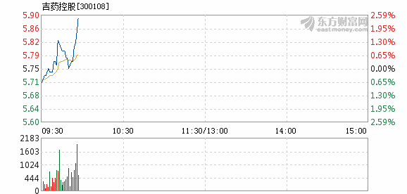 吉藥控股股票，深度解析與前景展望，吉藥控股股票深度解析及前景展望