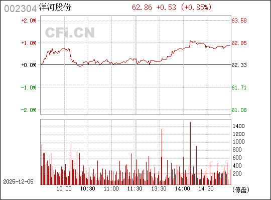 股票002304，深度解析與投資策略，股票002304深度解析與實戰(zhàn)投資策略探討