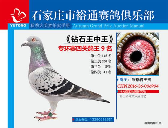 王中王一期一肖特中獎(jiǎng)，揭秘彩票背后的秘密與策略，揭秘彩票背后的秘密與策略，王中王一期一肖特中獎(jiǎng)解析