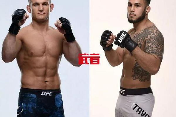 澳門(mén)六開(kāi)獎(jiǎng)結(jié)果記錄圖，探索彩票背后的秘密，澳門(mén)六開(kāi)獎(jiǎng)結(jié)果記錄圖揭秘彩票背后的秘密