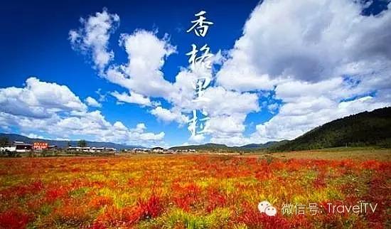 金秋十月，探尋最適合你的旅游目的地，金秋十月，探尋最佳旅游目的地之旅