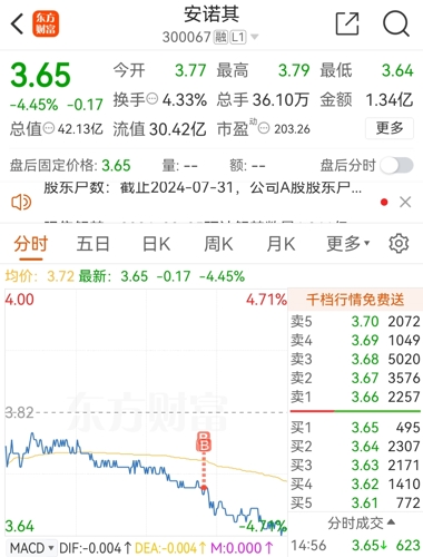 安諾其（300067）股吧，探討公司前景、投資策略與市場表現(xiàn)，安諾其（300067）股吧，公司前景、投資策略與市場表現(xiàn)的深度探討