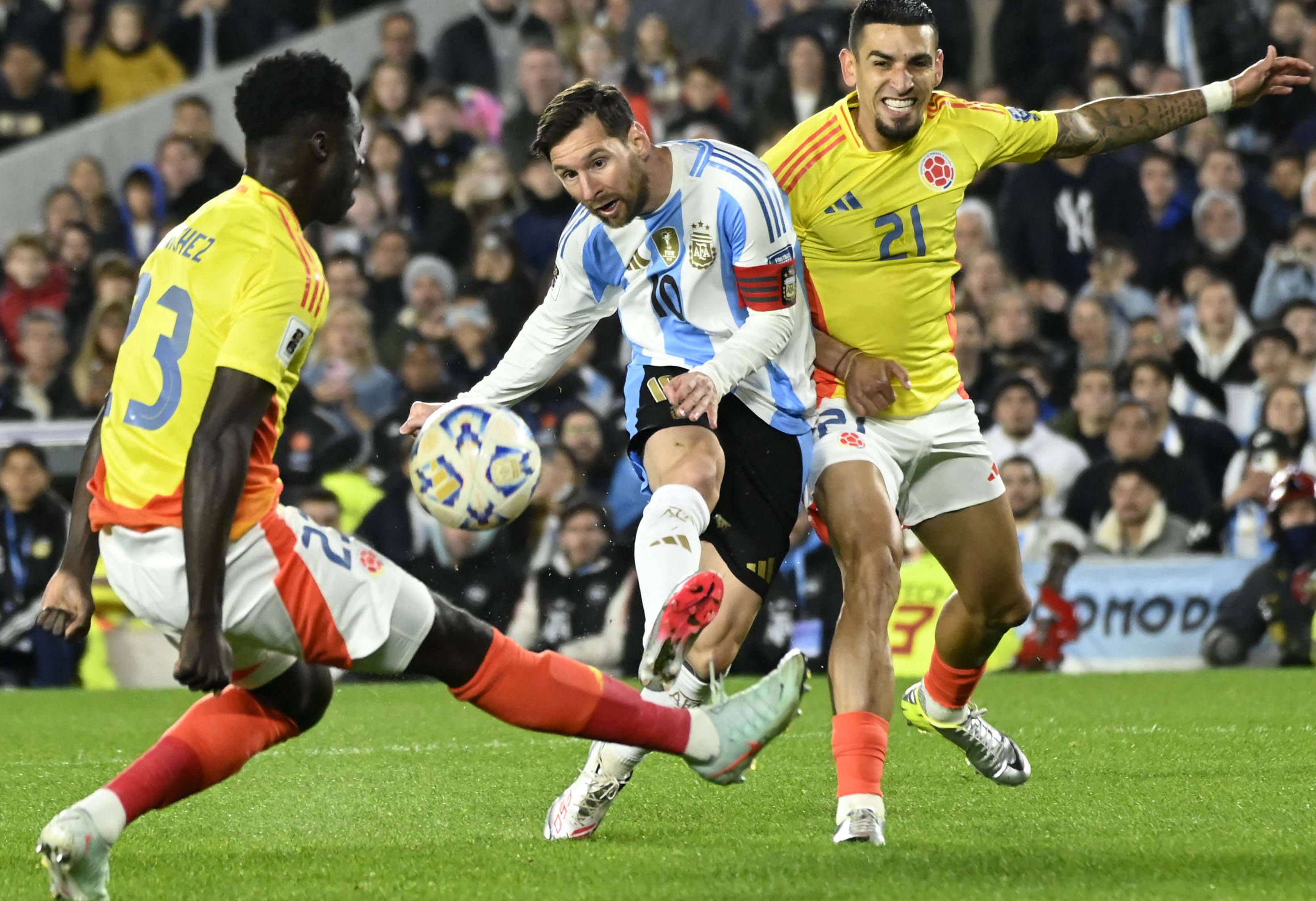 王中王一肖一特一，探尋獨特魅力與卓越成就，探尋王中王一肖的獨特魅力與卓越成就