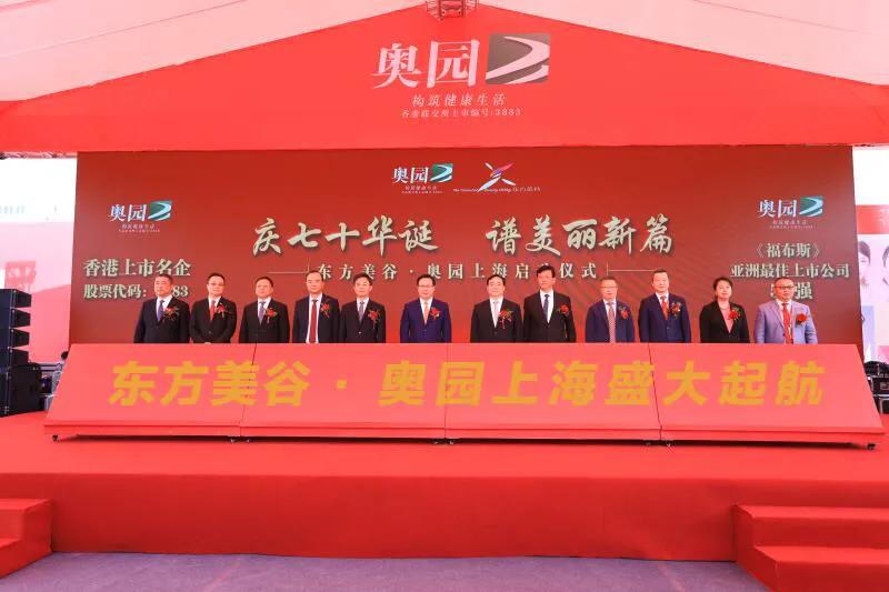 奧園美谷股票，投資潛力與前景展望，奧園美谷股票投資潛力與前景展望分析