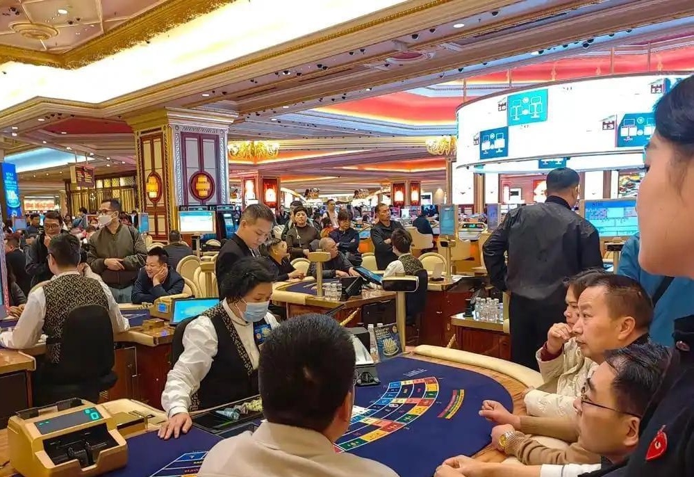 澳門六合彩開獎結(jié)果今天，揭秘彩票背后的秘密，澳門六合彩開獎揭秘，今天的結(jié)果與彩票背后的秘密