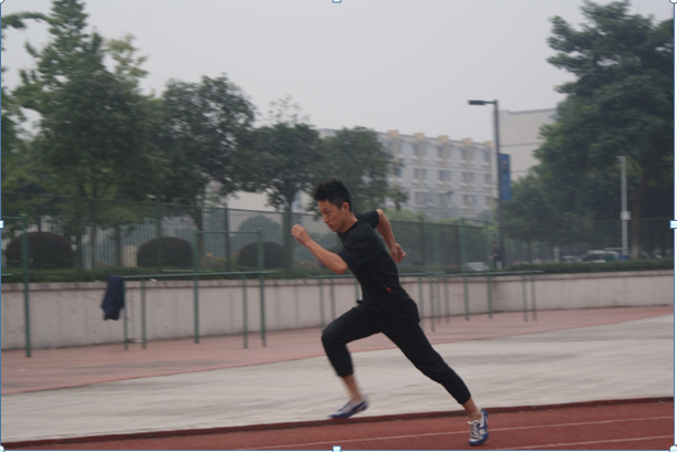 YN蕩校園運動會精彩瞬間，運動之筆記錄輝煌，YN蕩校園運動會輝煌瞬間，運動之筆描繪精彩篇章