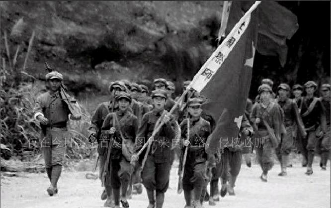 關(guān)于肖碼的探討，一種獨(dú)特的數(shù)字文化現(xiàn)象，肖碼，獨(dú)特的數(shù)字文化現(xiàn)象探討