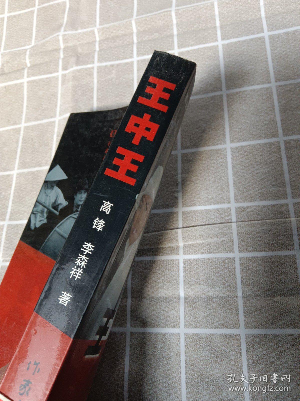 王中王資料一肖中官家，深度解析與探索，王中王資料揭秘，一肖中官家的深度解析與探索