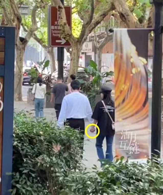 鮑蕾個(gè)人資料圖片，深度解析與探索，鮑蕾個(gè)人資料圖片，深度探究與揭秘