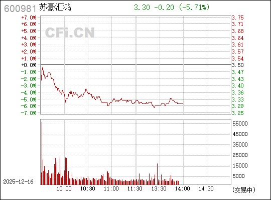 揭秘?cái)?shù)字背后的故事，探索600981的神秘面紗，揭秘?cái)?shù)字之謎，探尋600981的神秘面紗