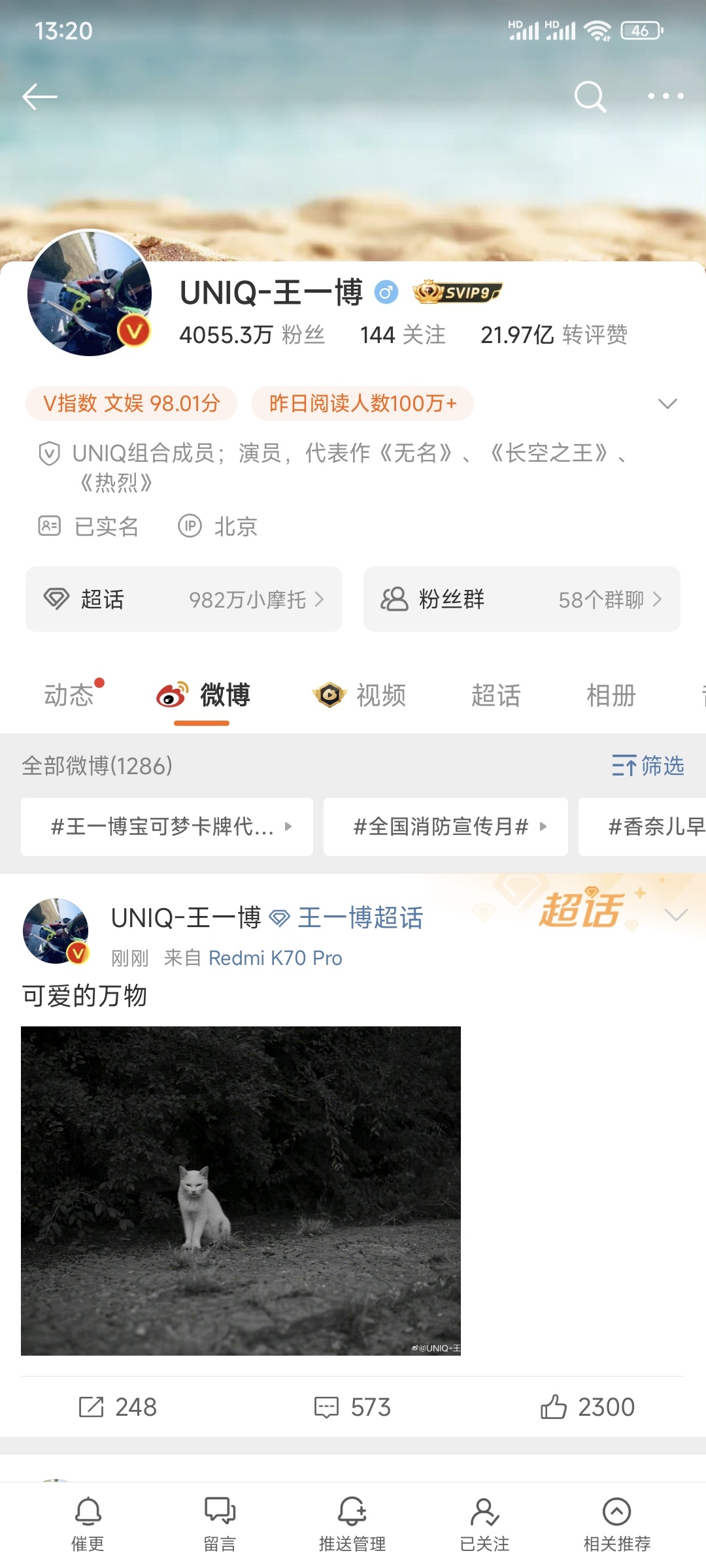 王中王一肖一，全年資料的深度解析，王中王一肖一全年資料深度解析