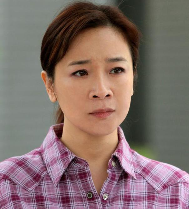 陳小藝主演的電視劇全部，回顧與解析，陳小藝主演電視劇回顧與深度解析