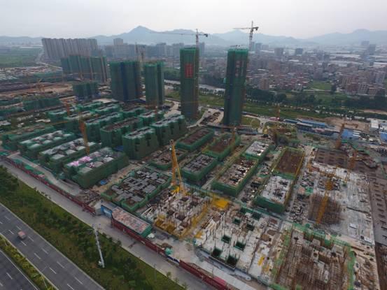 香港最準(zhǔn)一肖中特，揭秘13769cm王中王的精準(zhǔn)資料，揭秘香港最準(zhǔn)一肖中特，精準(zhǔn)資料揭秘13769cm王中王預(yù)測之道