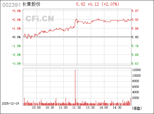 長青股份股票，深度解析與前景展望，長青股份股票深度解析及未來前景展望