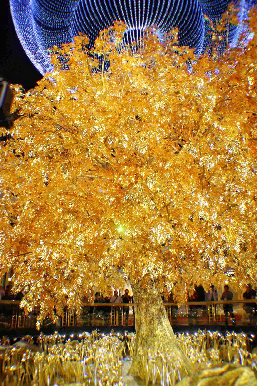 2025澳門十二生肖圖片大全，全面解析與欣賞，澳門十二生肖圖片大全，全面解析與欣賞（2025版）