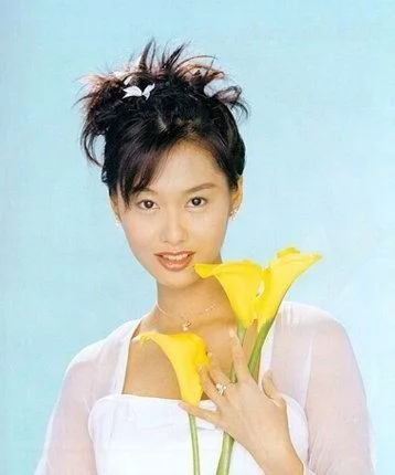 香港女演員大全列表，姓名、圖片及更多信息，香港女演員大全，姓名、圖片與更多信息一覽