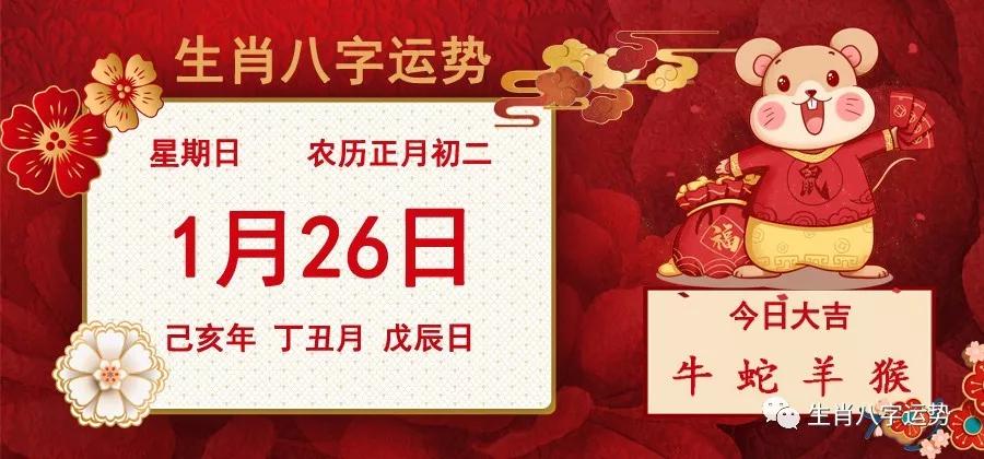 二肖二碼，深度解析與SEO優(yōu)化策略，二肖二碼深度解析與SEO優(yōu)化策略探討