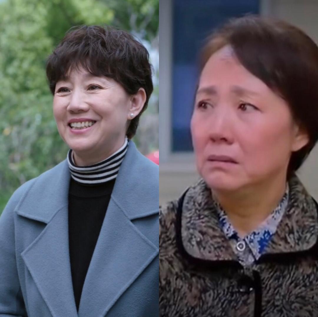 新紅樓夢演員表大全，角色演繹一覽，新紅樓夢演員陣容全解析，角色演繹一覽