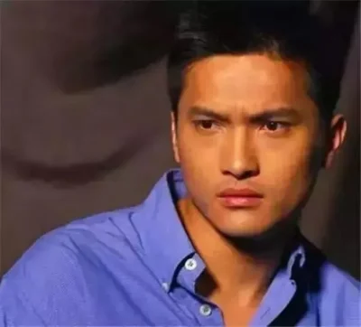 香港明星男名字——探尋璀璨星光的背后故事，香港明星男性名字背后的璀璨星光故事