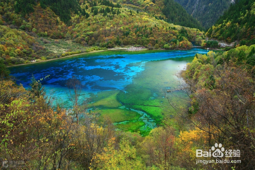九寨溝周邊旅游景點大全，自然美景盡收眼底，九寨溝周邊自然美景盡收眼底，周邊旅游景點大全探索