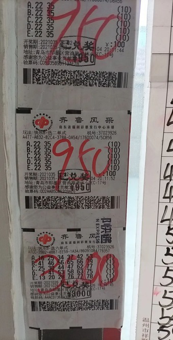 揭秘百分百王中王平特一肖的魅力所在，揭秘百分百王中王平特一肖的魅力之源