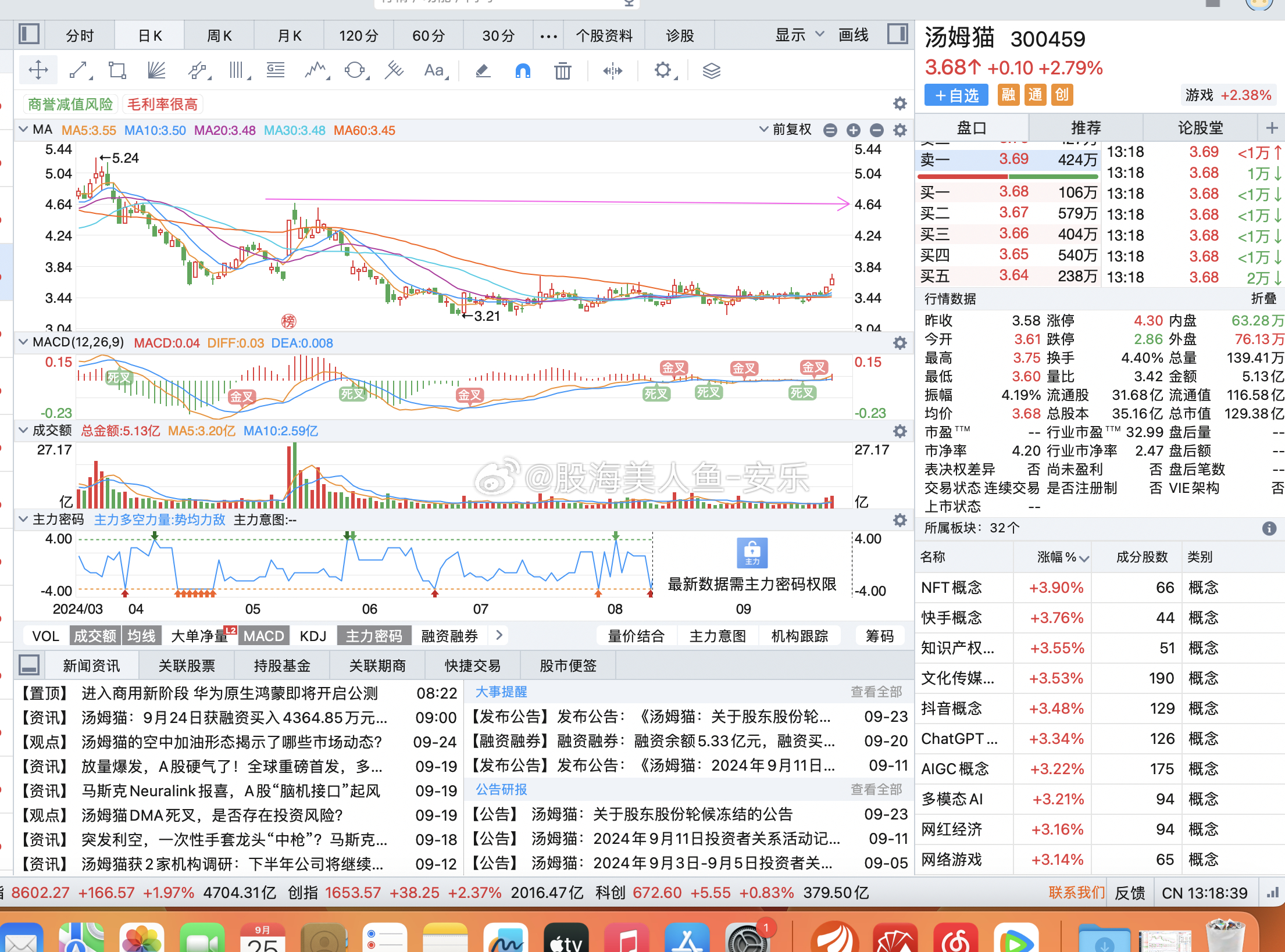 股票300454，深度解析與前景展望，股票300454深度解析及前景展望