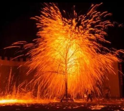 新奧門特免費(fèi)資料大全火鳳凰，探索奧秘與無限可能，新奧門特火鳳凰免費(fèi)資料大全，探索奧秘與無限潛能